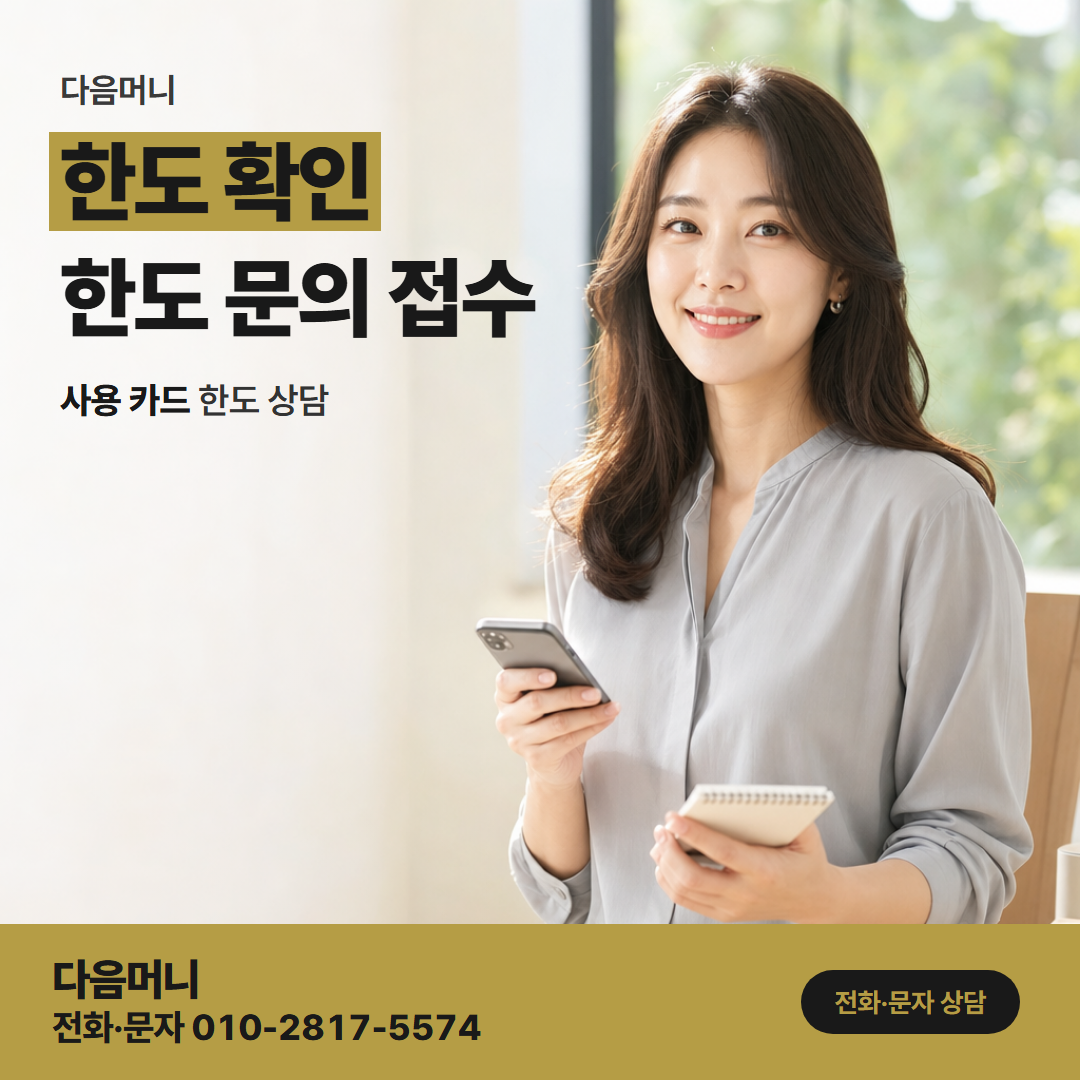 다음머니 서울카드깡 카드사 앱 조회 화면